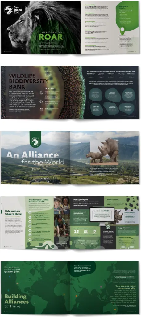 2024 Annual Report@3x