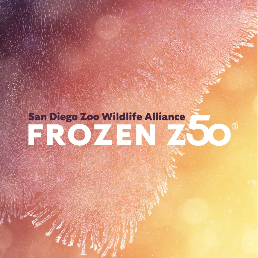 Brand-Frozen Zoo 50@3x