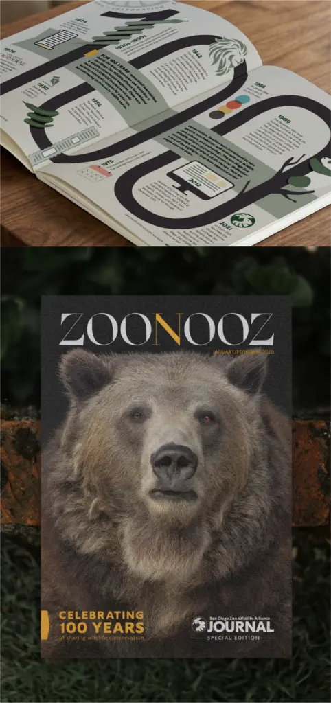 ZOONOOZ Cover@3x